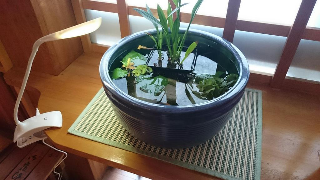 Hotel Onyado Hishiya Torazo Yamanouchi  Zewnętrze zdjęcie
