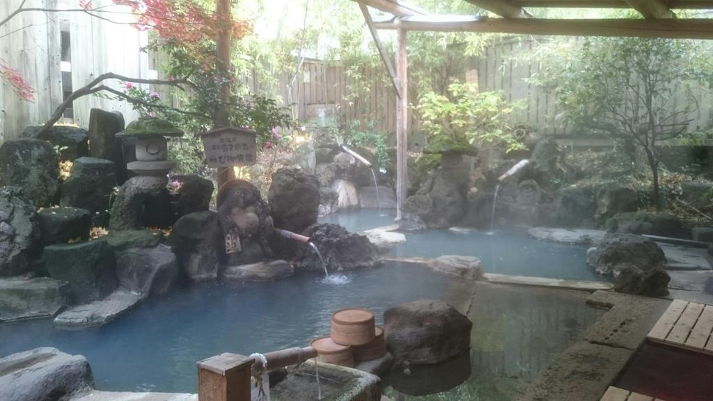 Hotel Onyado Hishiya Torazo Yamanouchi  Zewnętrze zdjęcie